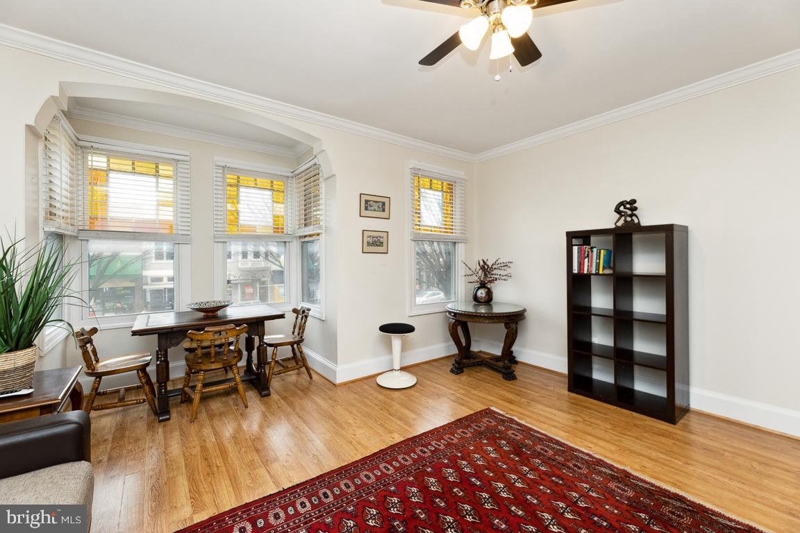 428 8th Street Southeast, Unit A Washington, DC 20003 - Photo 6 of 23 a living room with furniture a window and a potted plant