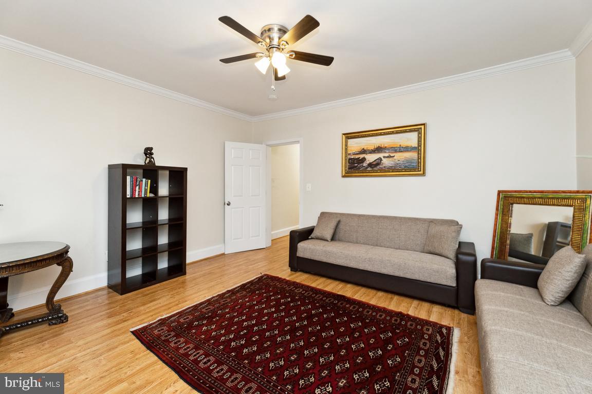 428 8th Street Southeast, Unit A Washington, DC 20003 - Photo 8 of 23 a living room with furniture and a rug