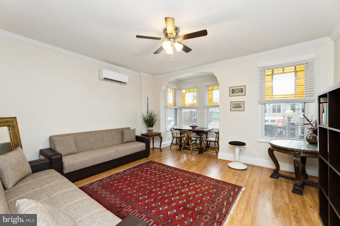 428 8th Street Southeast, Unit A Washington, DC 20003 - Photo 9 of 23 a living room with furniture and a rug