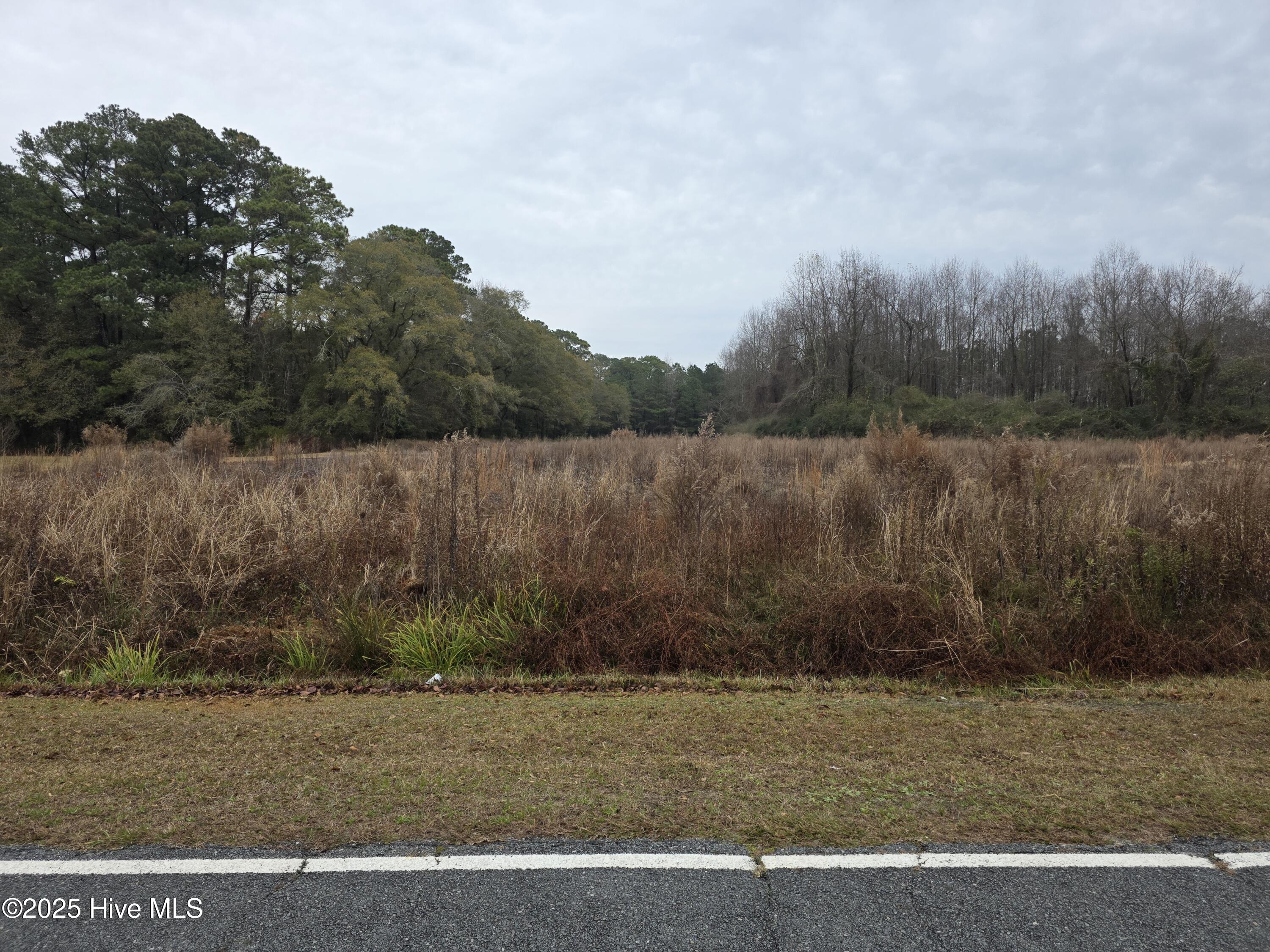 557 Church Road Pink Hill, NC 28572 - Photo 8 of 9 3469