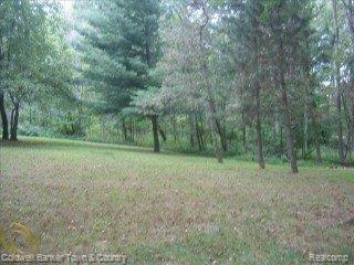 540 Argentine Road Howell, MI 48843 - Photo 3 of 7 Wooded view