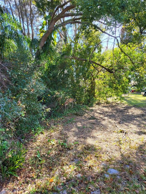 2131 Northeast Coachman Road Clearwater, FL 33765 - Photo 11 of 11 a view of yard