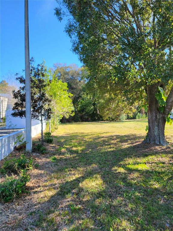2131 Northeast Coachman Road Clearwater, FL 33765 - Photo 4 of 11 a view of yard with tree