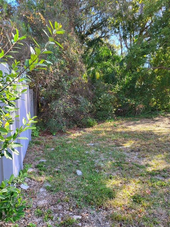 2131 Northeast Coachman Road Clearwater, FL 33765 - Photo 7 of 11 a view of a yard with plants and large trees