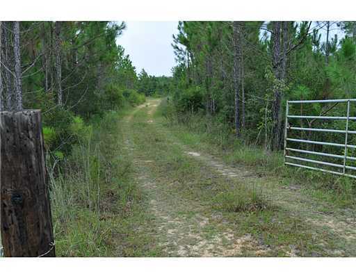0 Road Past 25282 Road, Unit 357JUST Kiln, MS 39556 - Photo 1 of 23 Primary Photo