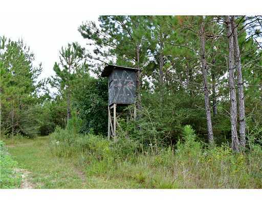 0 Road Past 25282 Road, Unit 357JUST Kiln, MS 39556 - Photo 13 of 23 Additional Photo