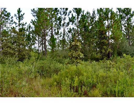 0 Road Past 25282 Road, Unit 357JUST Kiln, MS 39556 - Photo 16 of 23 Additional Photo