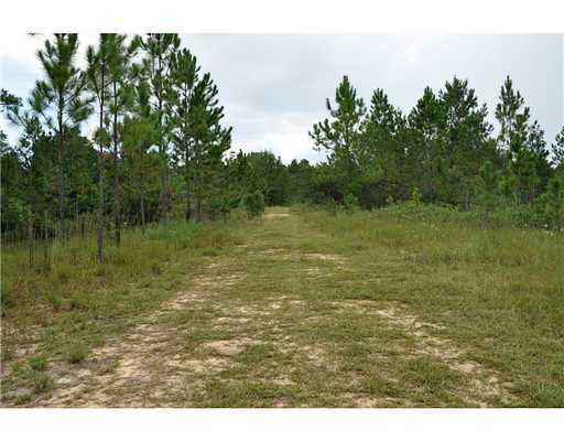 0 Road Past 25282 Road, Unit 357JUST Kiln, MS 39556 - Photo 22 of 23 Additional Photo