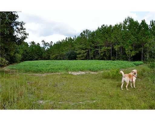 0 Road Past 25282 Road, Unit 357JUST Kiln, MS 39556 - Photo 7 of 23 Additional Photo