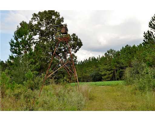 0 Road Past 25282 Road, Unit 357JUST Kiln, MS 39556 - Photo 8 of 23 Additional Photo