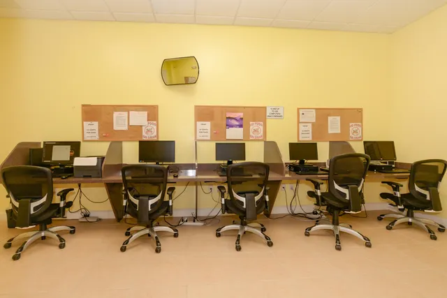 a view of a palm trees with palm trees