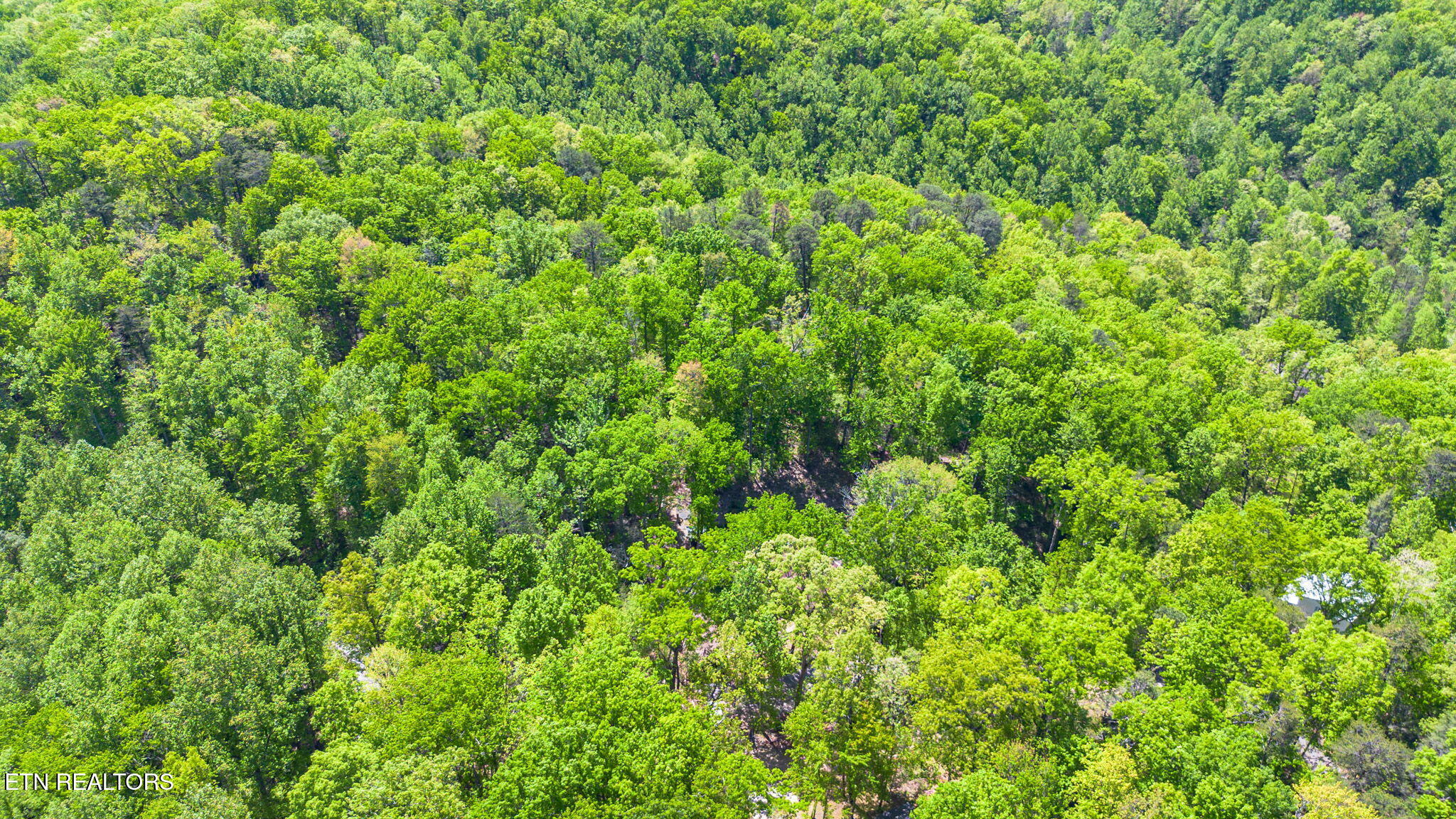 4360 Lakeshore Way Sevierville, TN 37876 - Photo 31 of 32 3-web-or-mls-DJI_0071