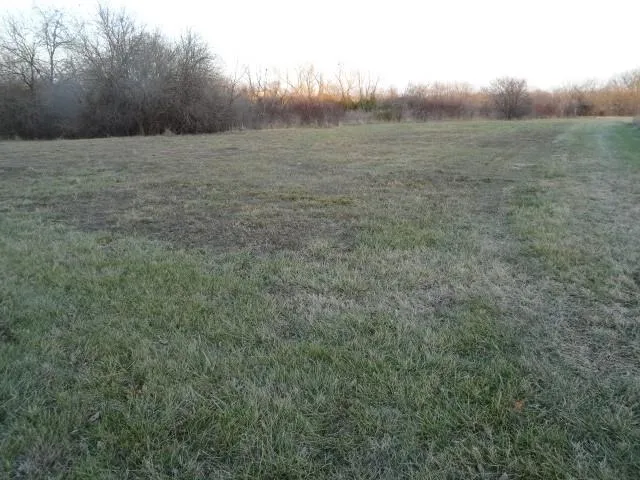 $659,000 | 14769 Northeast State Route East, Adrian, MO 64720