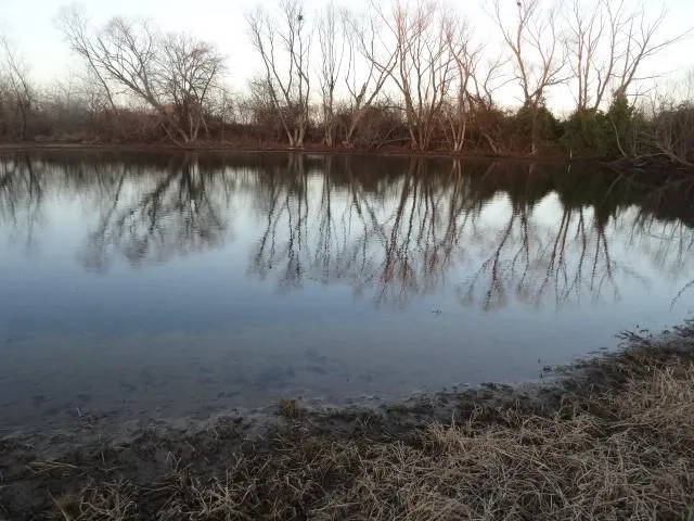 $659,000 | 14769 Northeast State Route East, Adrian, MO 64720