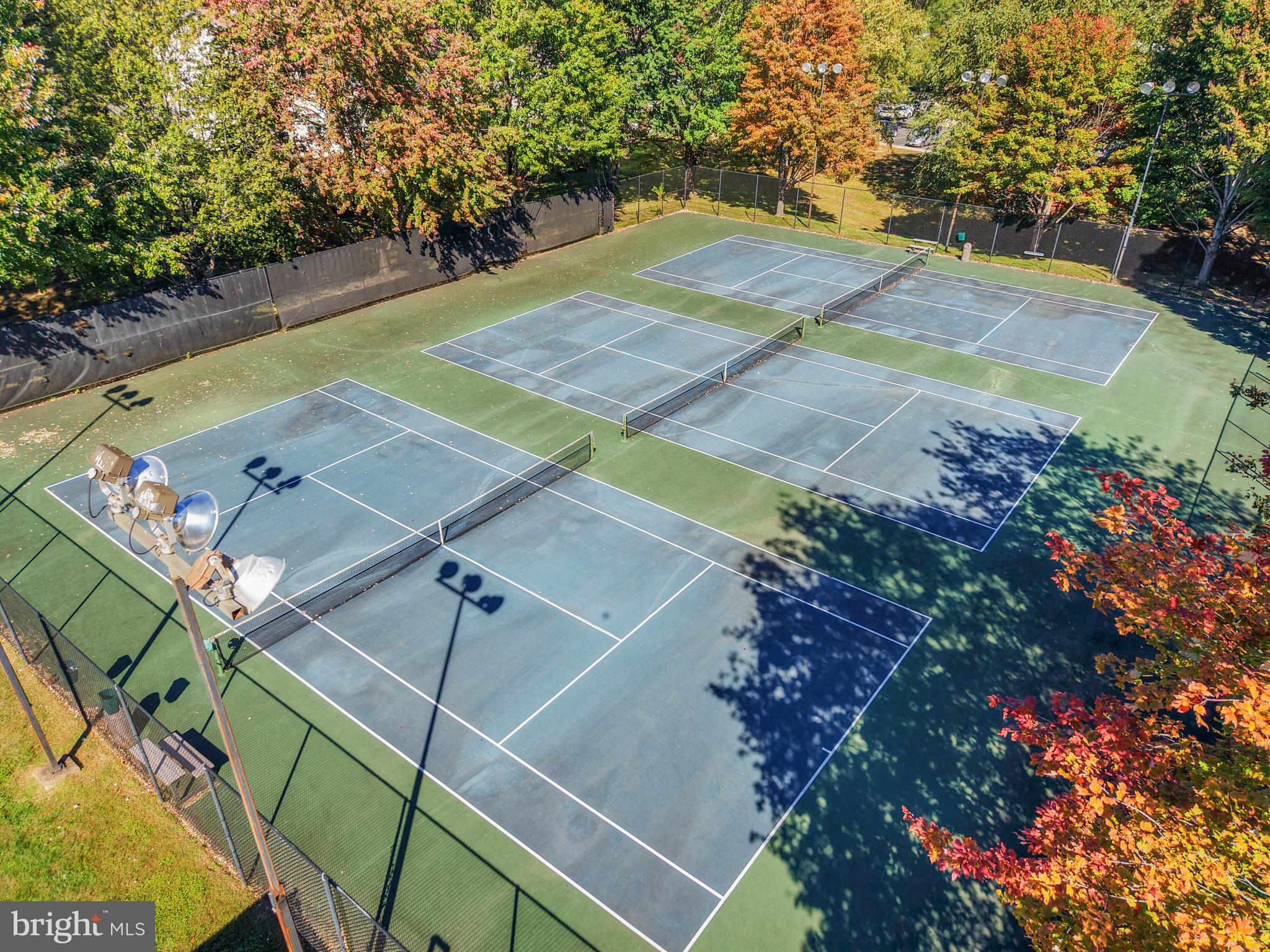 5824 Rexford Drive, Unit 731 Springfield, VA 22152 - Photo 30 of 30 a view of a tennis ground with large trees