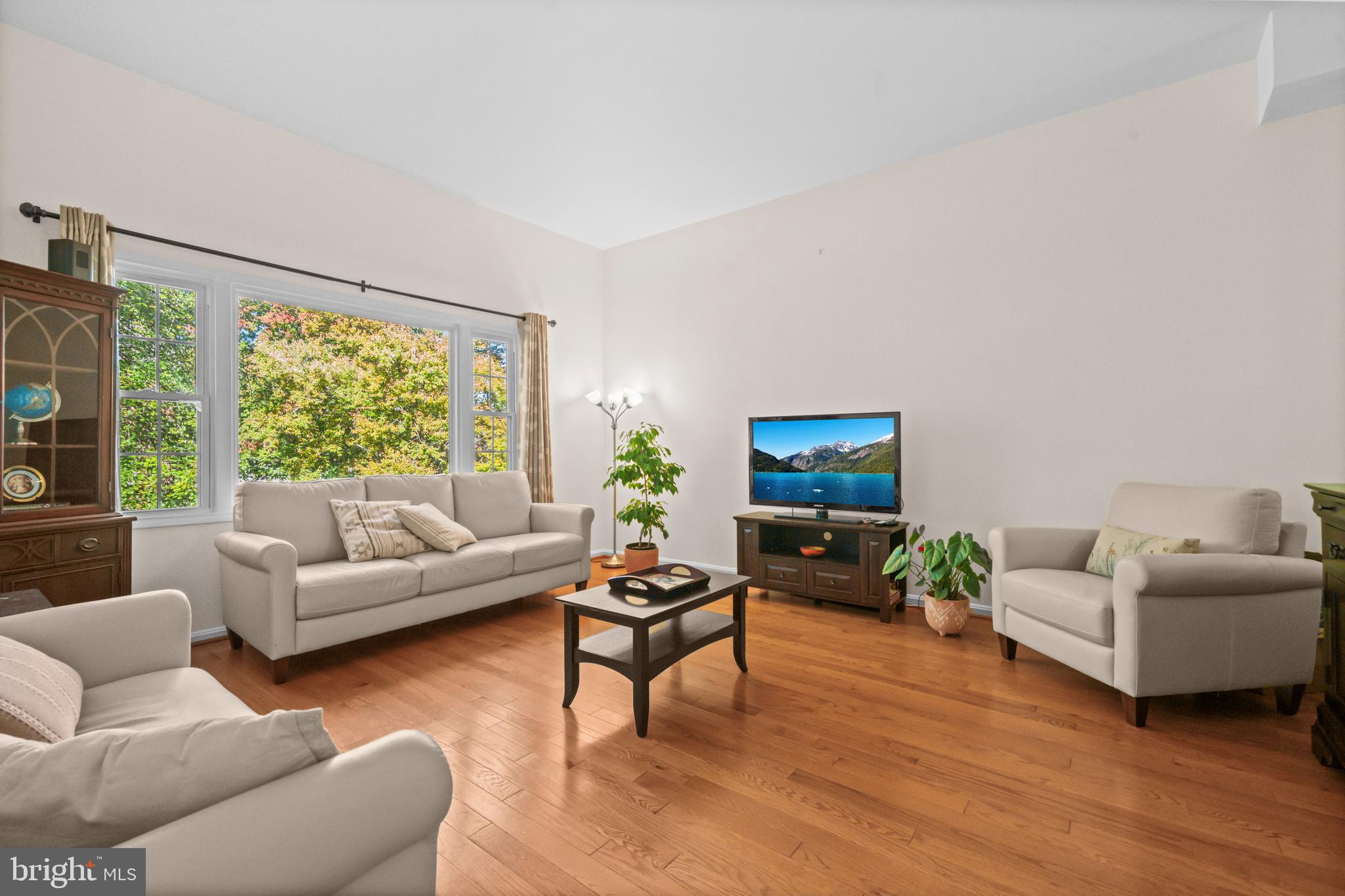 5824 Rexford Drive, Unit 731 Springfield, VA 22152 - Photo 6 of 30 a living room with furniture and a flat screen tv