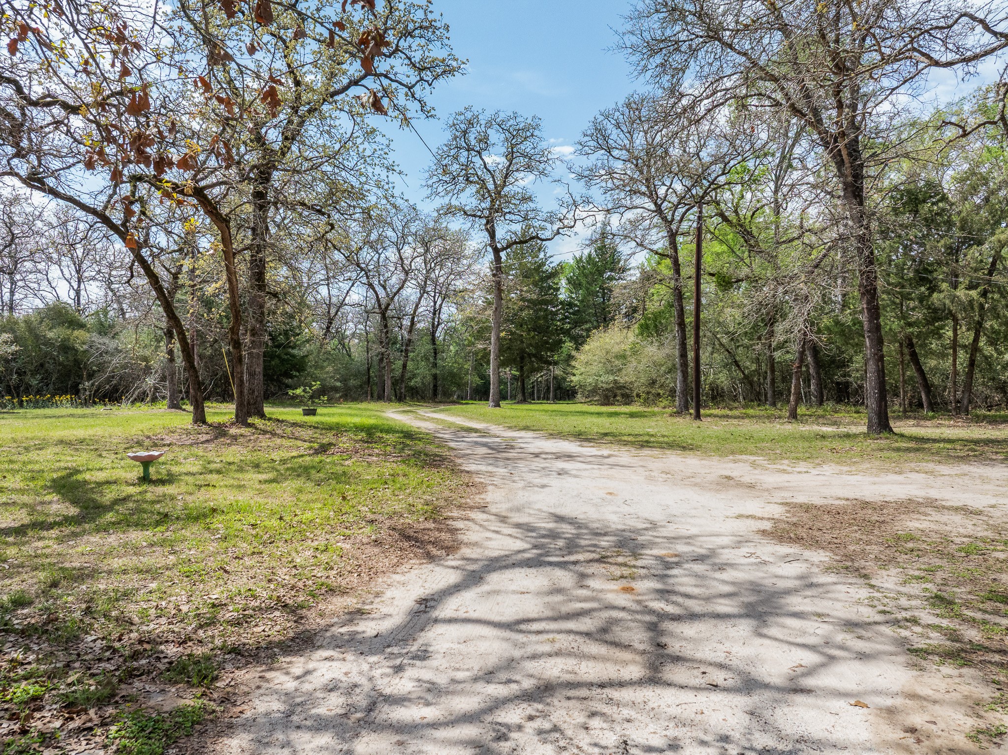 4196 Winding Road Hearne, TX 77859 - Photo 18 of 33 a view of outdoor space with trees