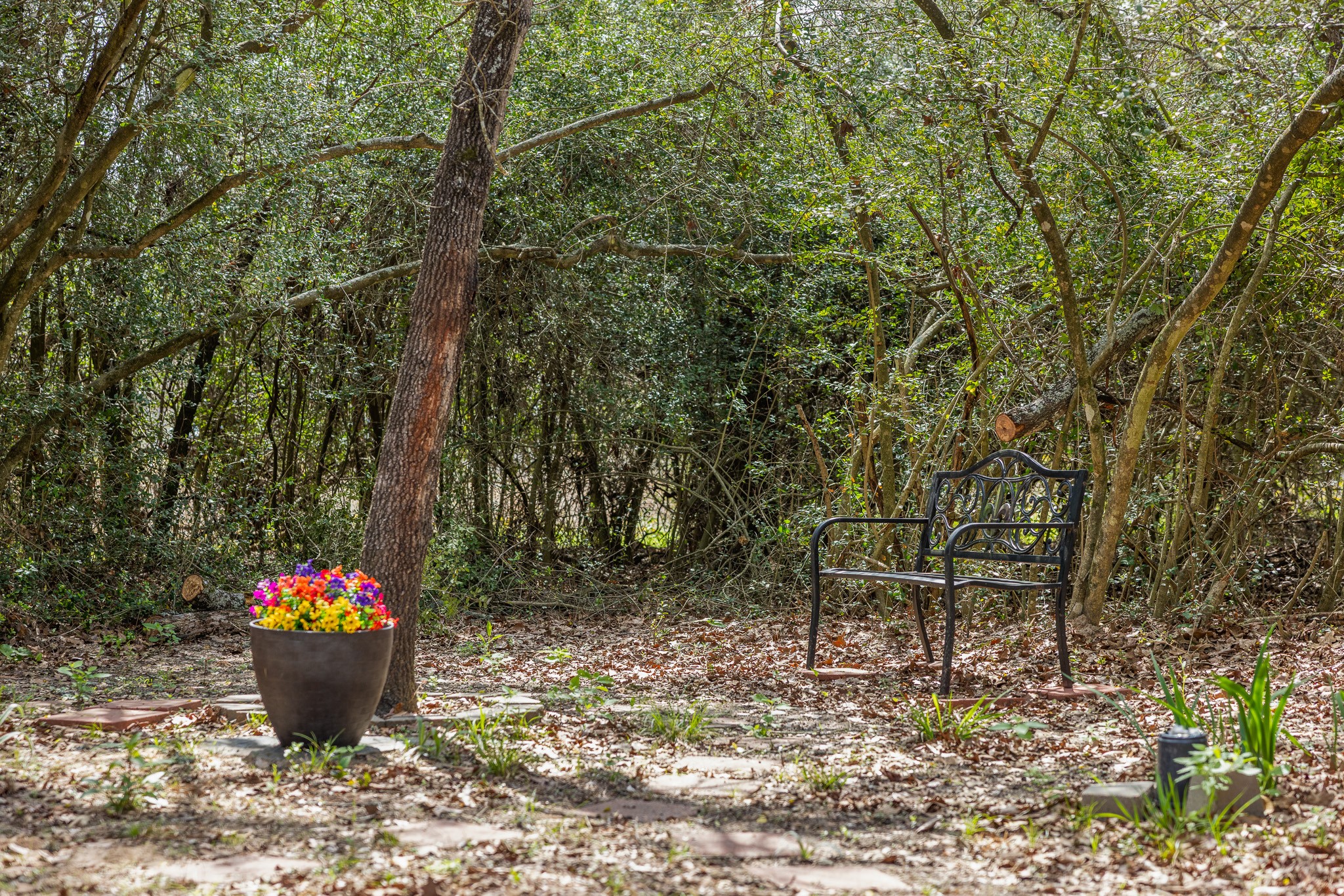 4196 Winding Road Hearne, TX 77859 - Photo 19 of 33 a view of a bunch of plants and trees