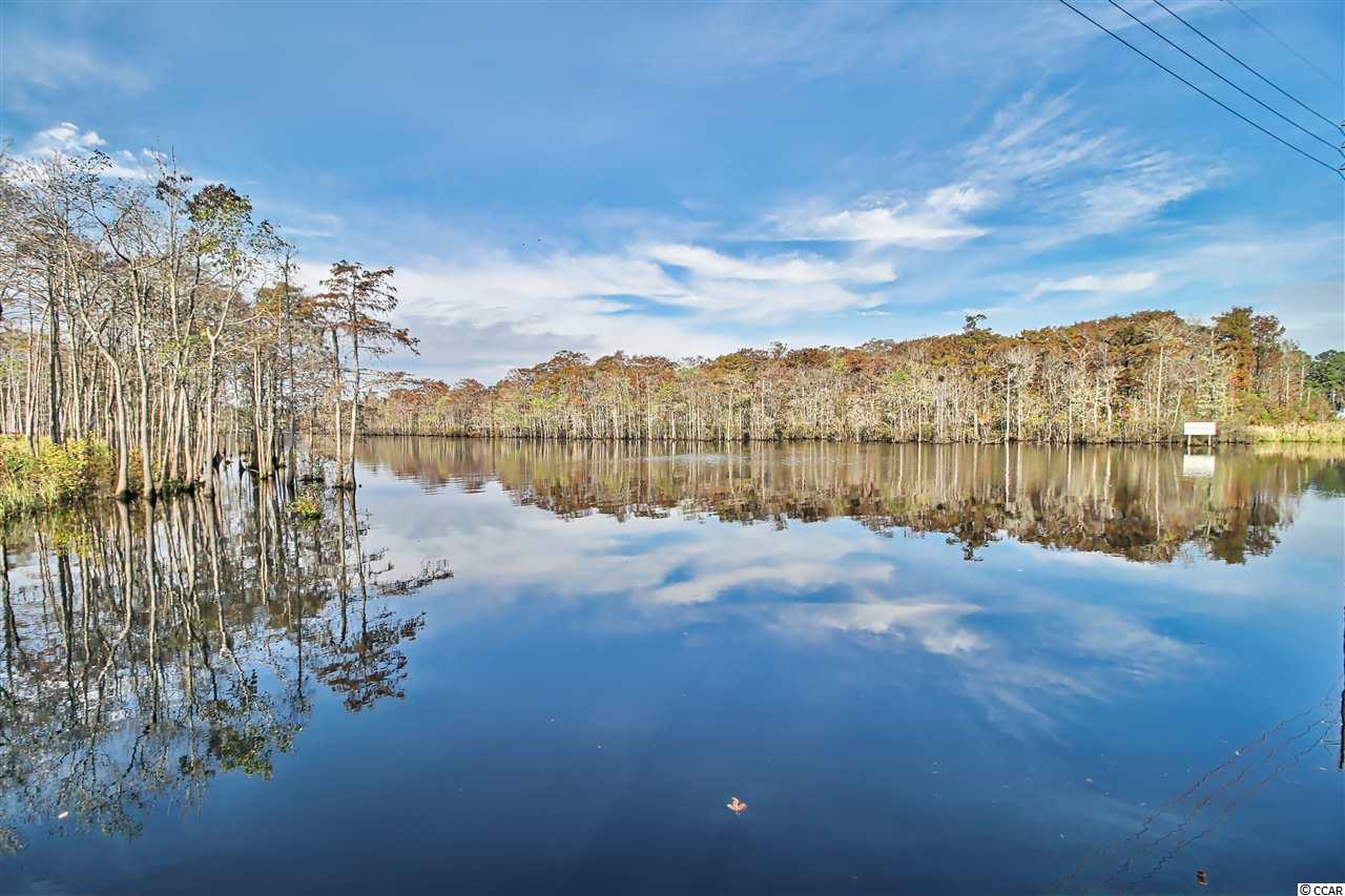 313 Fox Ridge Drive Myrtle Beach, SC 29588 - Photo 40 of 40 Gallery Image 40