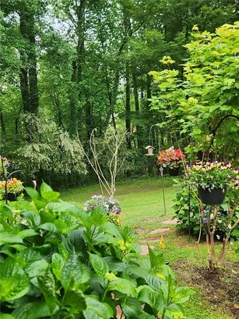 a green field with lots of trees