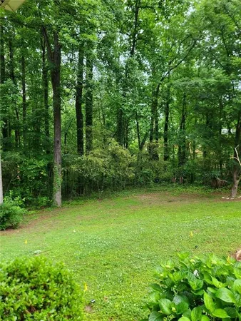 a view of a green yard