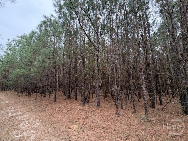 1 Race Path Road Rincon, GA 31326 - Photo 3 of 10