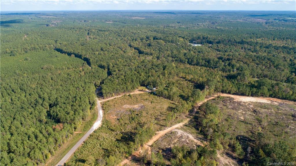 1613 Goings Road Chester, SC 29706 - Photo 1 of 14 a view of a city with lush green forest