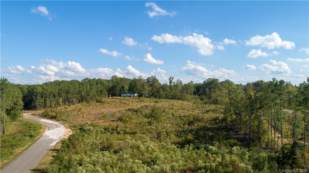 1613 Goings Road Chester, SC 29706 - Photo 2 of 14 a view of a yard