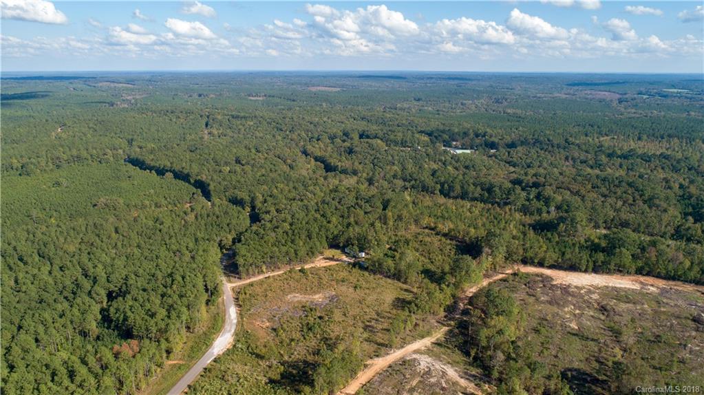 1613 Goings Road Chester, SC 29706 - Photo 6 of 14 a view of a city with lush green forest