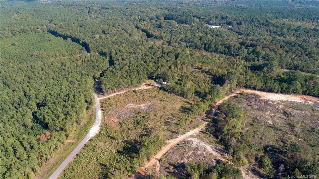 1613 Goings Road Chester, SC 29706 - Photo 7 of 14 a view of top of a forest with a yard