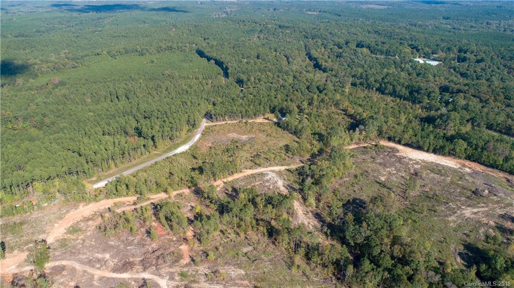 1613 Goings Road Chester, SC 29706 - Photo 9 of 14 a view of a forest with a forest