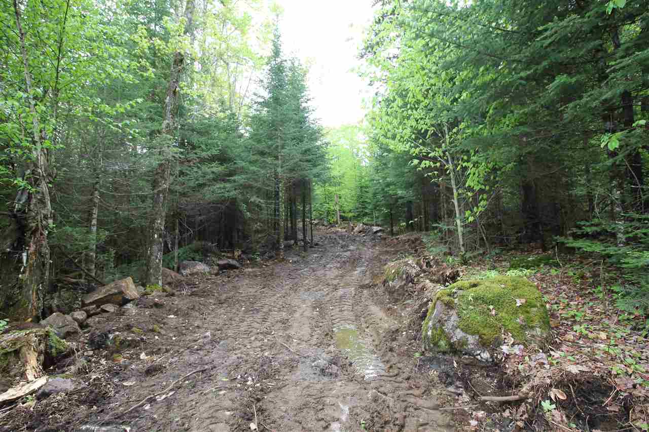 46.1 Prospect Street Bethlehem, NH 03574 - Photo 2 of 4