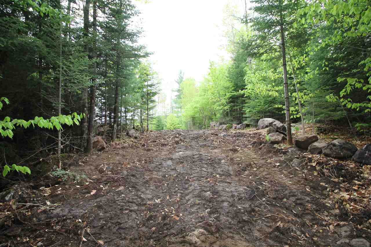 46.1 Prospect Street Bethlehem, NH 03574 - Photo 3 of 4