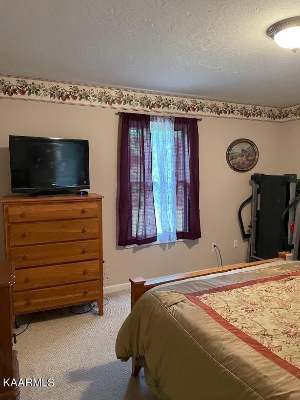 2740 Stockton Road Jamestown, TN 38556 - Photo 46 of 58 Gallery Image 46