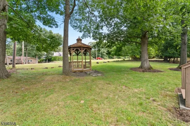 a view of a park with large trees