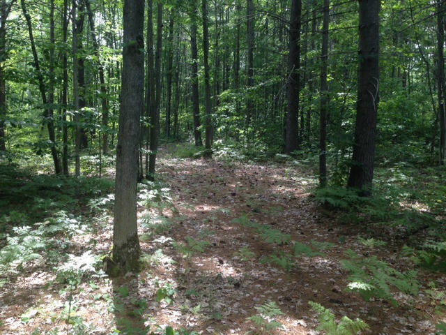 1180 The Trail Road Indian River, MI 49749 - Photo 1 of 3 Gallery Image 1
