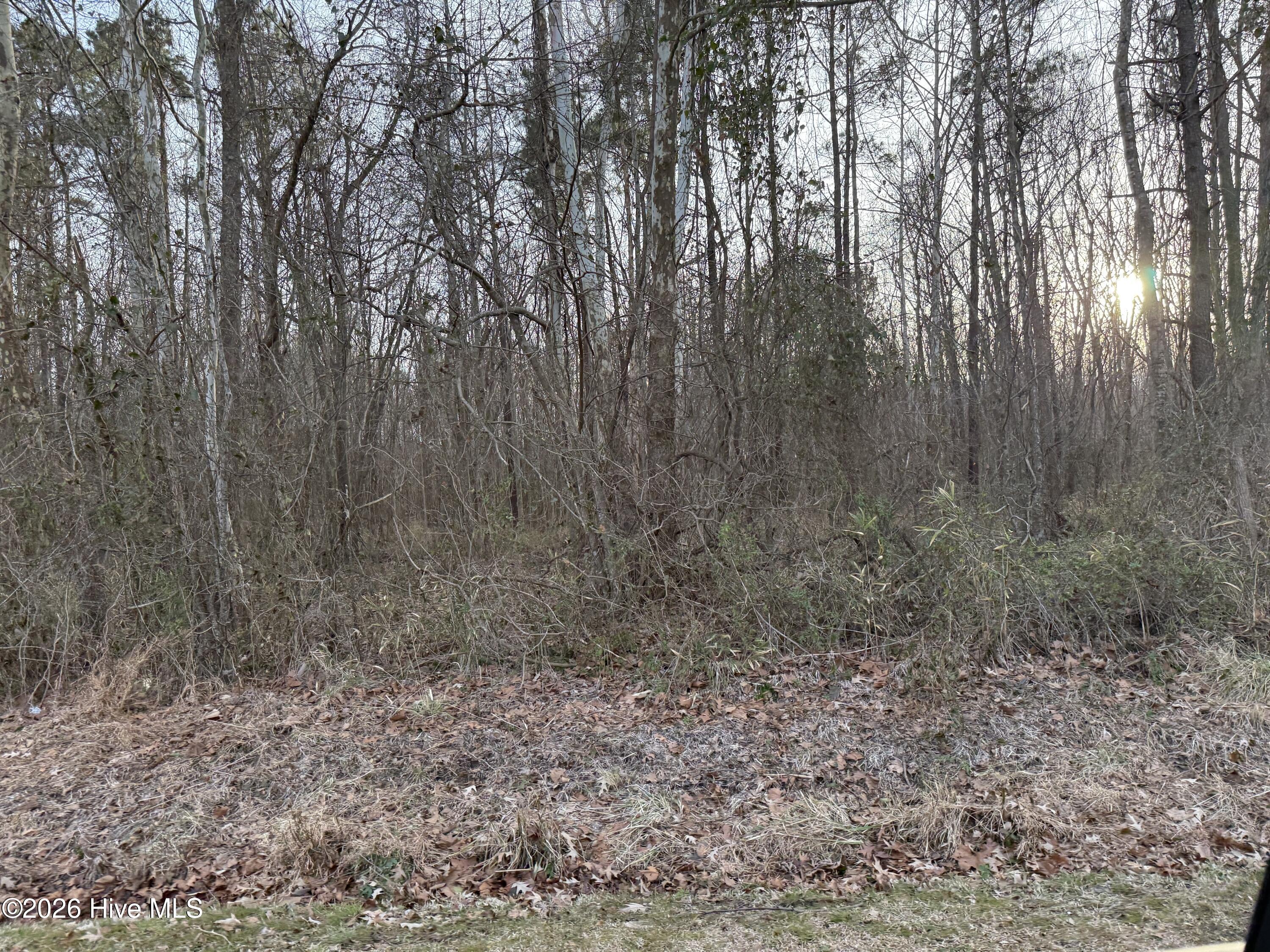 Lot 14 Beasley Road Roper, NC 27970 - Photo 2 of 5 IMG_7939