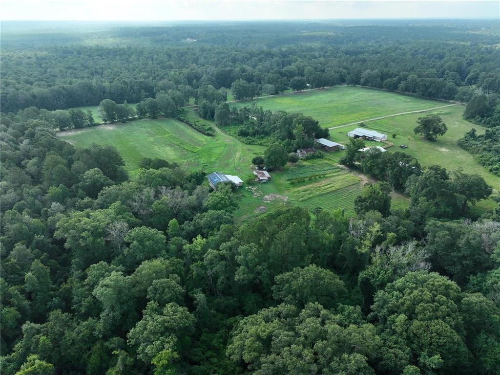 68450 Parnell Road Kentwood, LA 70444 - Photo 8 of 52 Gallery Image 8