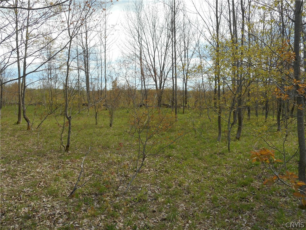 0 Kerber Road Ava, NY 13303 - Photo 7 of 24 Gallery Image 7