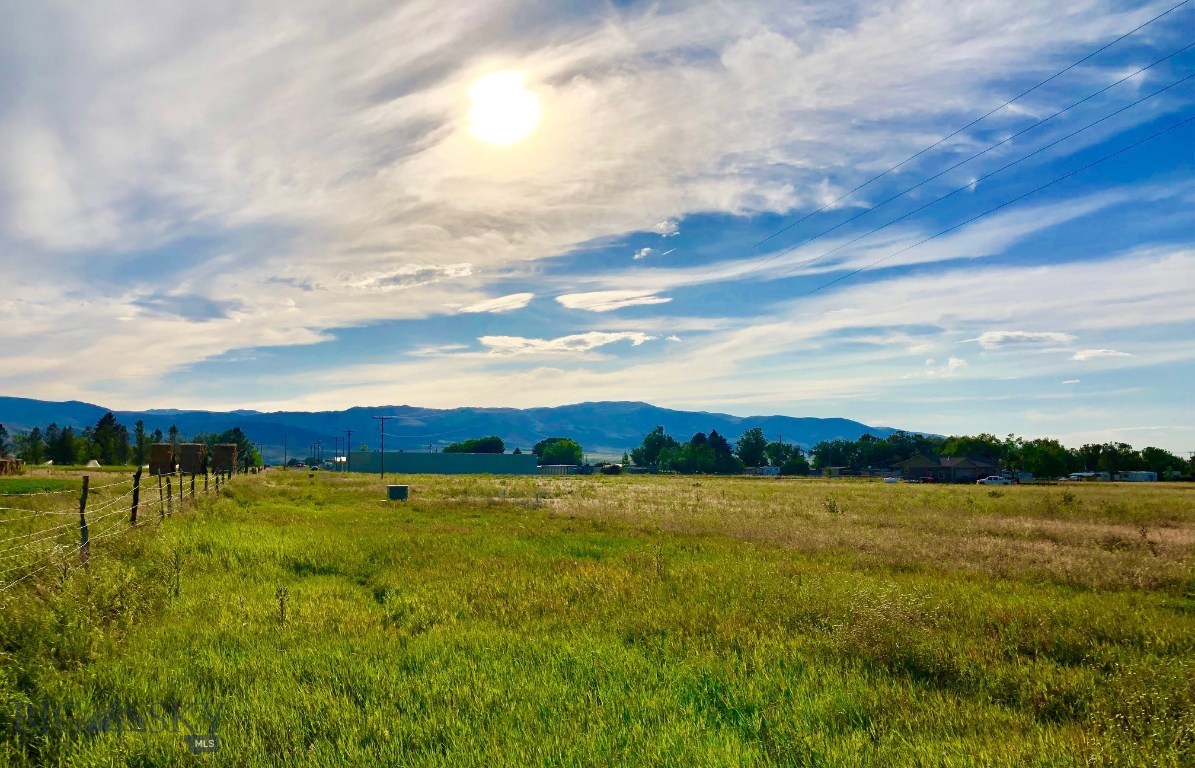 Lot 4 Sharon Loop Townsend, MT 59644 - Photo 1 of 1 Gallery Image 1