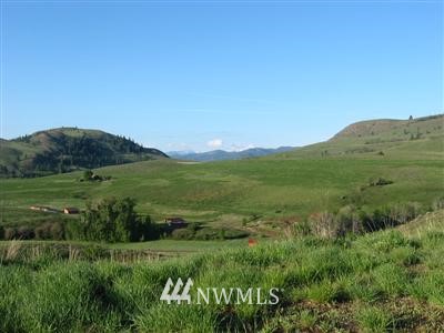 -xxxx Rendezvous Road Winthrop, WA 98862 - Photo 1 of 1 Gallery Image 1