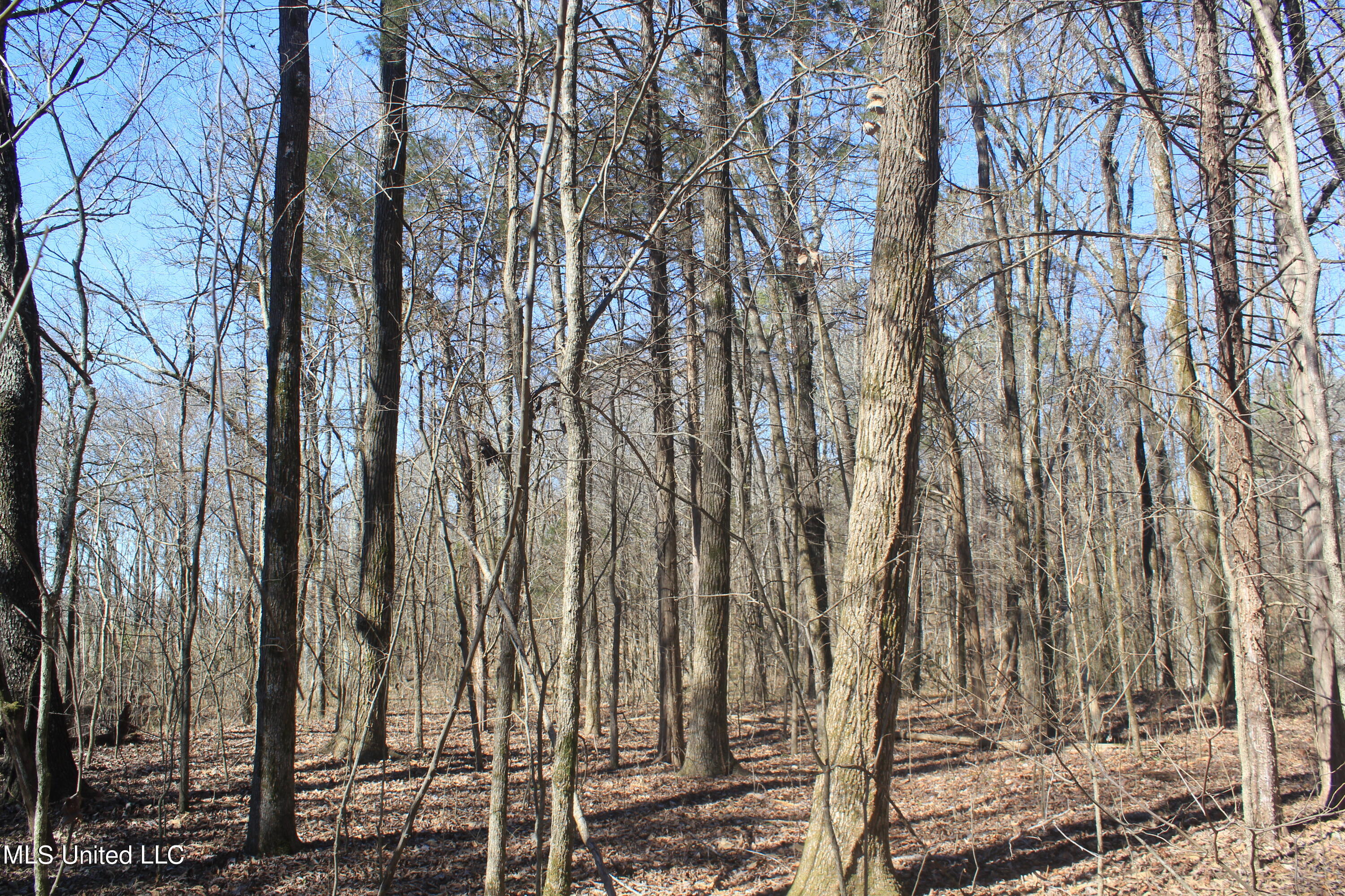 13 Hogan Road Holly Springs, MS 38635 - Photo 7 of 19 IMG_7984