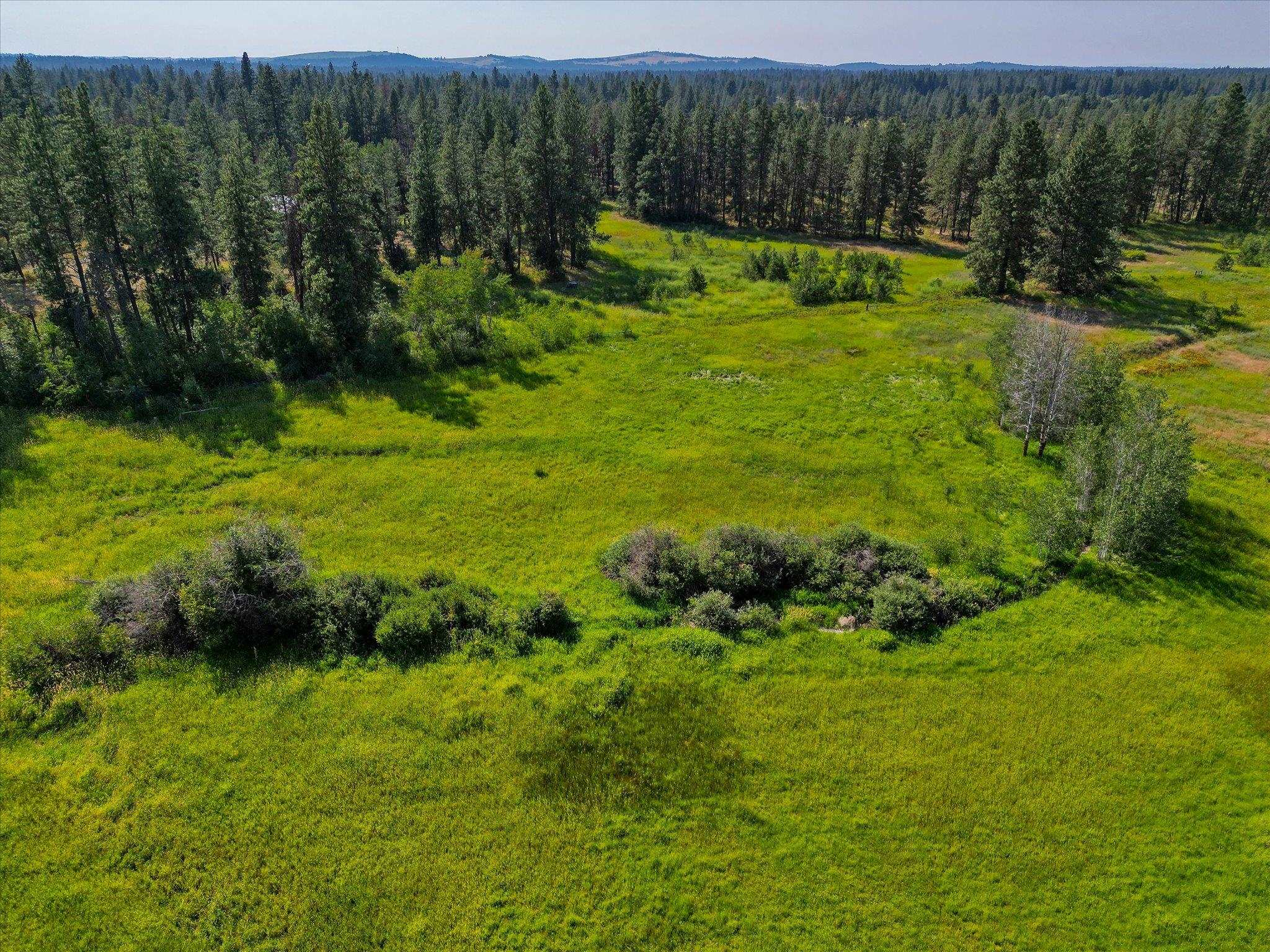 1410 West Paradise Road Spokane, WA 99224 - Photo 9 of 16