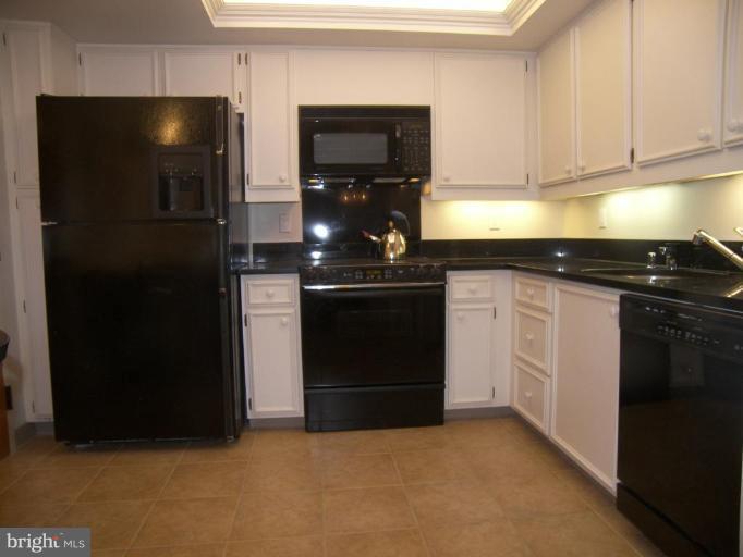1101 South Arlington Ridge Road, Unit 705 Arlington, VA 22202 - Photo 2 of 11 Kitchen