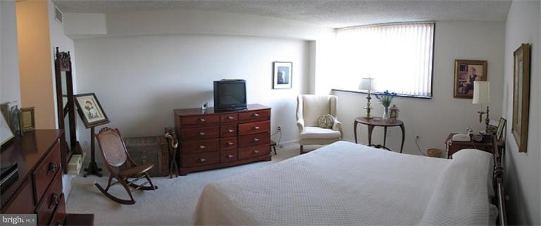 1101 South Arlington Ridge Road, Unit 705 Arlington, VA 22202 - Photo 3 of 11 Master Bedroom