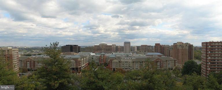 1101 South Arlington Ridge Road, Unit 705 Arlington, VA 22202 - Photo 6 of 11 View from Unit