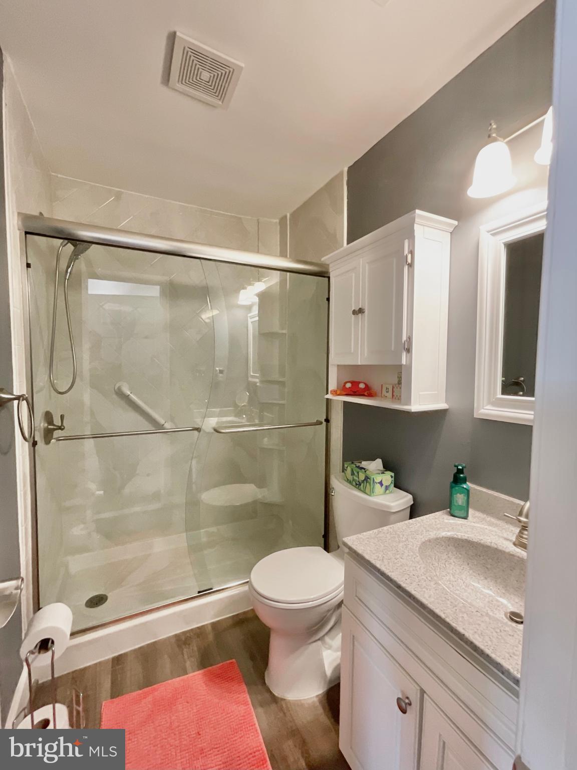 13406 Shady Knoll Drive, Unit 13406 Silver Spring, MD 20904 - Photo 26 of 27 Hallway Bathroom