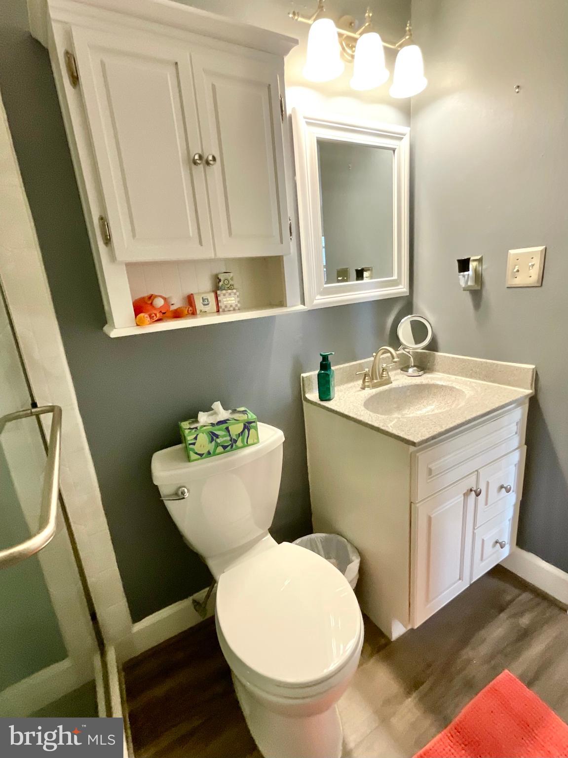 13406 Shady Knoll Drive, Unit 13406 Silver Spring, MD 20904 - Photo 27 of 27 Hallway Bathroom