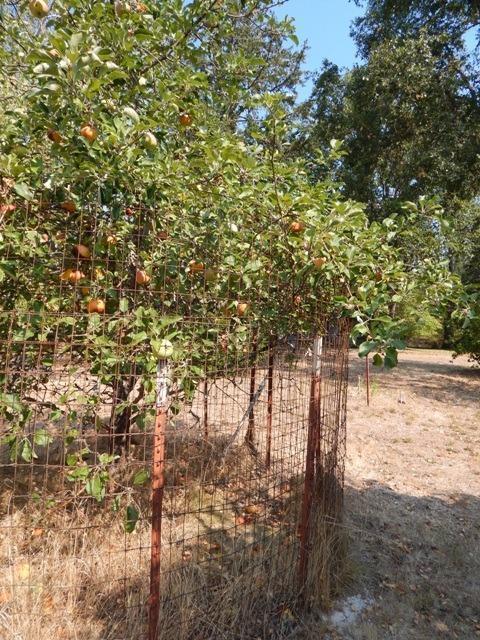 164 Stringer Gap Road Grants Pass, OR 97527 - Photo 23 of 25 Additional Photo