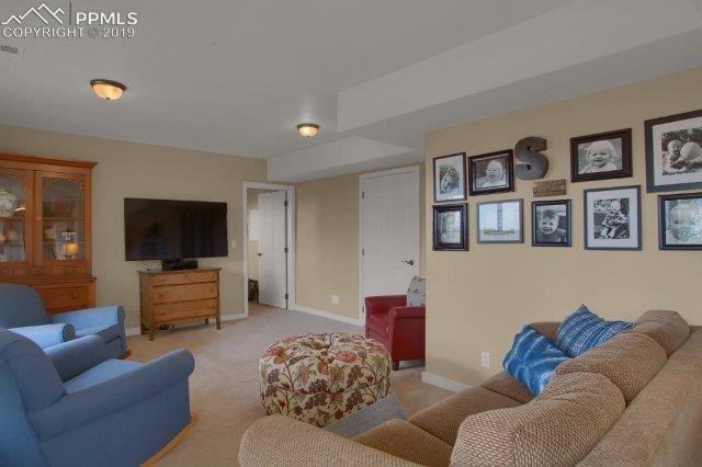 367 Homestead Road Divide, CO 80814 - Photo 26 of 40